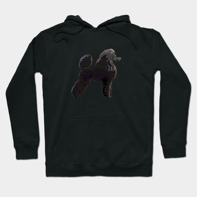 Poodle Art - Black Show Stand Hoodie by ElegantCat